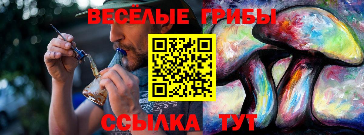 Ковров  Галлюциногенные грибы прущие грибы  Вход с VPN 